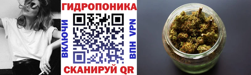 Купить наркотики сайты Сертолово Бошки Шишки  Меф  COCAIN  Гашиш 