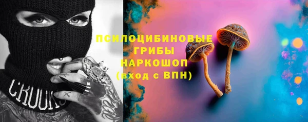твердый Богданович