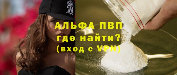 твердый Богданович