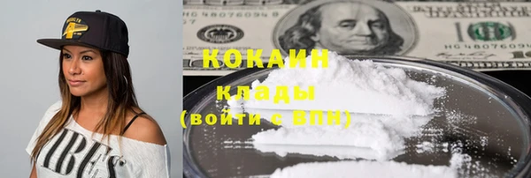 твердый Богданович