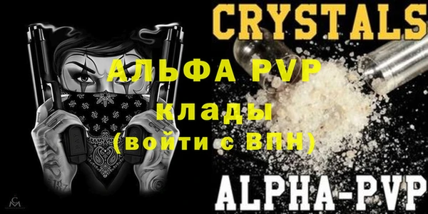 твердый Богданович