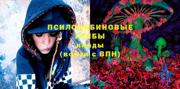 твердый Богданович
