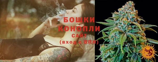 твердый Богданович
